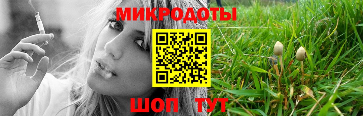 Новороссийск  Псилоцибиновые грибы мухоморы  что такое наркотик  Вход с VPN  Галлюциногенные грибы Cubensis 