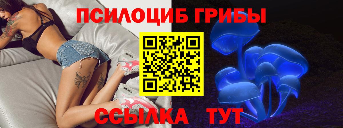 Псилоцибиновые грибы Psilocybine cubensis Новороссийск